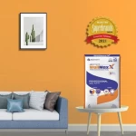 JK Cement WallMaxX White Cement Based Putty